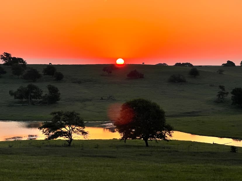 Sustainable Grazing Practices on the High Plains